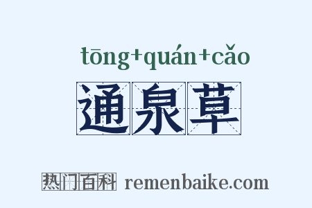 通泉草是什么意思的图片